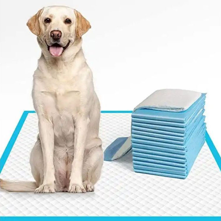 Large Dog And Puppy Training Mat, Disposable Pet Urinal Mat