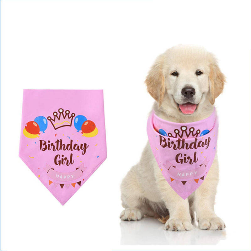 Pet birthday drool towel Cute triangle towel