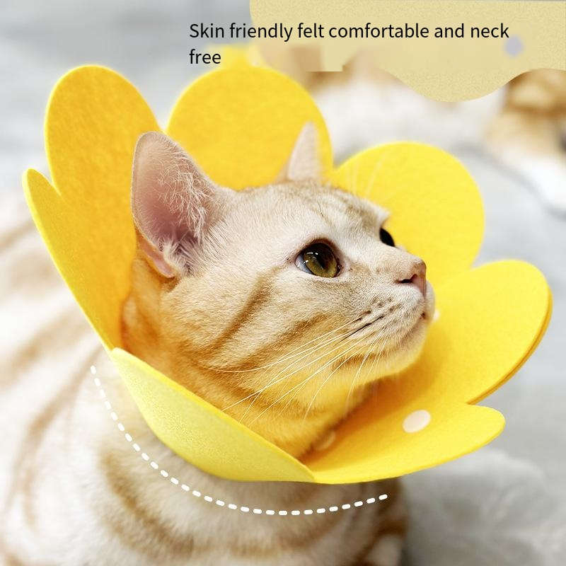 Sunflower Eliza Ring kitten pet collar lightweight felt head cover